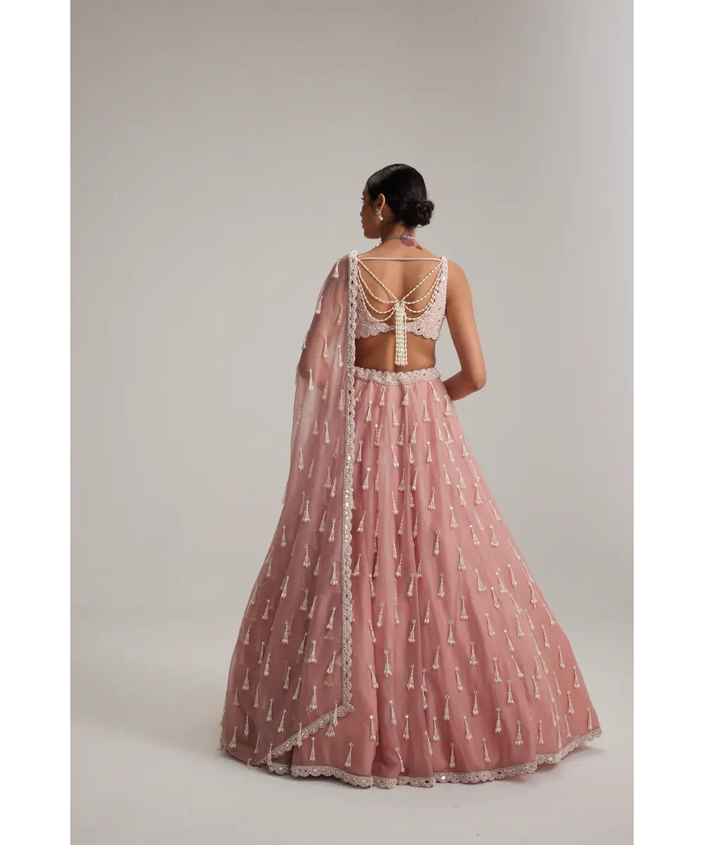 VVANI VATS- Dusty Rose Organza Long Pearl Tassels Lehenga Set